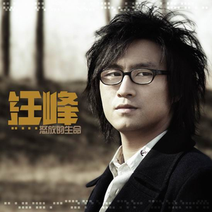 午夜福利观看视频1
