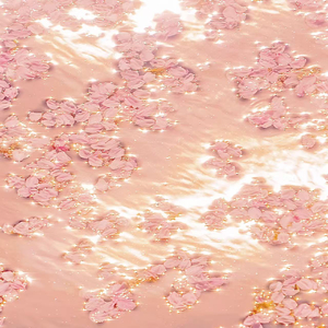 午夜福利观看视频1
