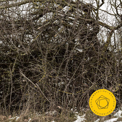 午夜福利观看视频1
